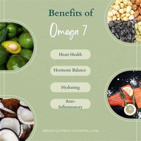 buy omega 7|omega 7 benefits side effects.